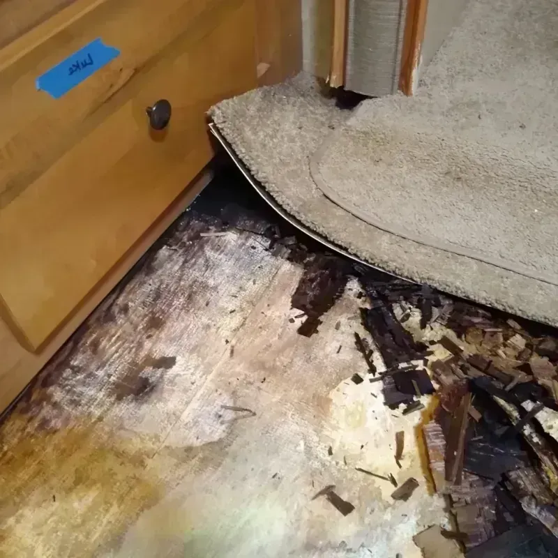 Wood Floor Water Damage in Anderson, TX